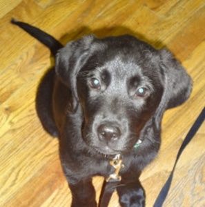 Meet your Posher, Melody